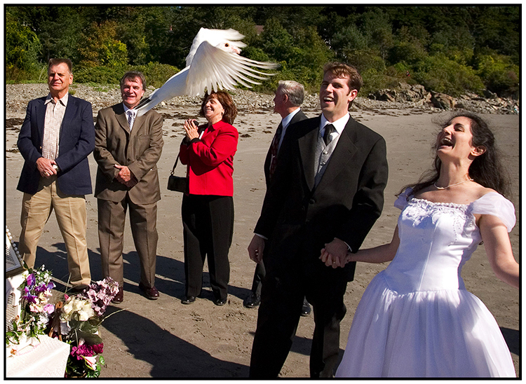 York Harbor Inn Wedding : Wedding Highlights : Portland Maine Wedding Photographer : Carl Walsh Weddings : Coastal Maine Wedding Photography: Seacoast New Hampshire Wedding photographer