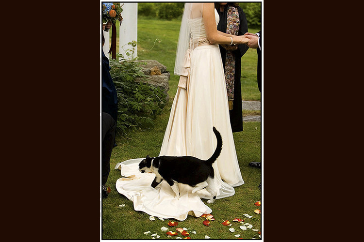 Sunset Hill House Wedding : Sunset Hill House Wedding : Portland Maine Wedding Photographer : Carl Walsh Weddings : Coastal Maine Wedding Photography: Seacoast New Hampshire Wedding photographer