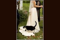 Sunset Hill House Wedding